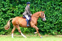 Working hunter Horse/ Pony
