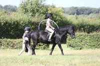 Family Pony