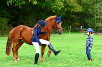 Family Pony