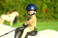 Lead Rein