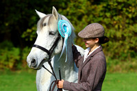 Prettiest Mare