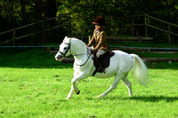 **Ridden 1**