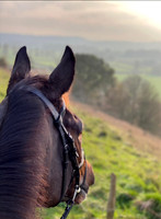 Holly Chaston, Never Learn, ‘Guinness' checking out the view