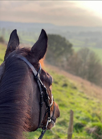 Holly Chaston, Never Learn, ‘Guinness' checking out the view