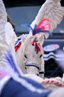Pre Parade Camera 4 (M)