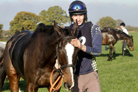 New Gallery