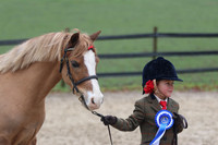 Showing at Warren Barn, March 2026