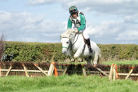 Race 1 - IOW Shetland Champion Hurdle