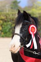 Showing at Warren Barn April 2026