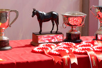 Prize Giving (1)