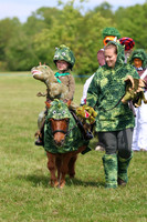 Fancy Dress