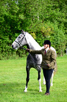 In Hand - Introduction to Showing