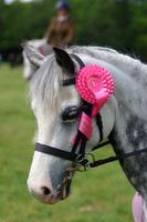 Prettiest Mare
