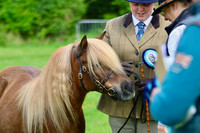 In Hand Mountain & Moorland