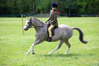 Family Pony