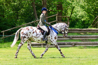 Ridden Veteran