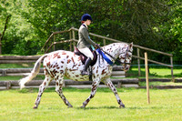 Showjumping & Fun Show 17th May 2026