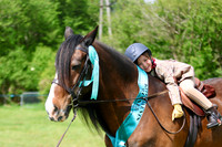 Handsomest Gelding