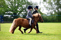 Lead Rein