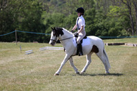 DRESSAGE (RING NOT FULLY COVERED)