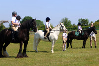 FAMILY PONY
