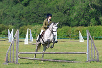 WORKING HUNTER (1)