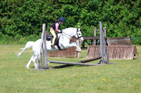 WORKING HUNTER (3)