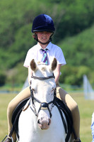 RIDING PONY/ HORSE