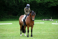 DRESSAGE 3