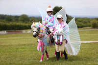 Fancy Dress