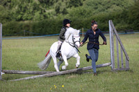 Working Hunter 1