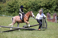 Working Hunter 4