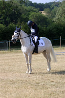 Dressage
