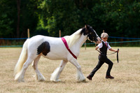 Junior Handler