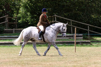 Cobs & Heavy Horses Ridden
