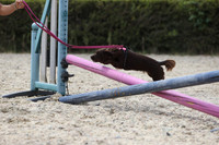 Horse & Hound