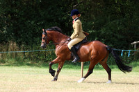 Introduction to Showing - Ridden