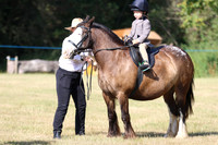 Lead Rein