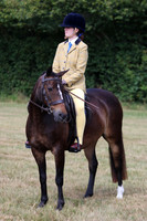 Pony Club Pony/ Riding Club Horse