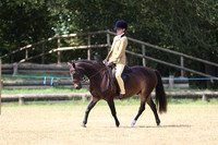 Veteran - Ridden