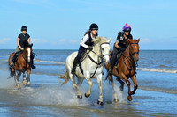 Coakham Bloodhounds Beach Ride 2016
