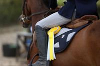 Evening Showjumping 21st August 2026