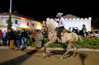 Golega, Portugal, November 2017