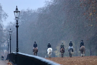 Hyde Park December 2020