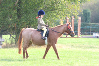 Prettiest Mare