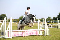 Showjumping Ring 1  (1)