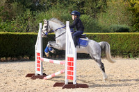 Showjumping Sunday 11th October 2026