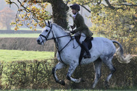 Horse Catchers