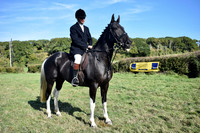 Horse Catchers