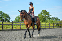 Dressage